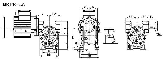 MRT-RT