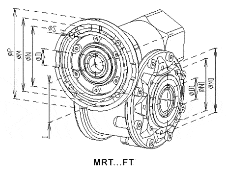 MRT-RT