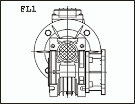 FL1